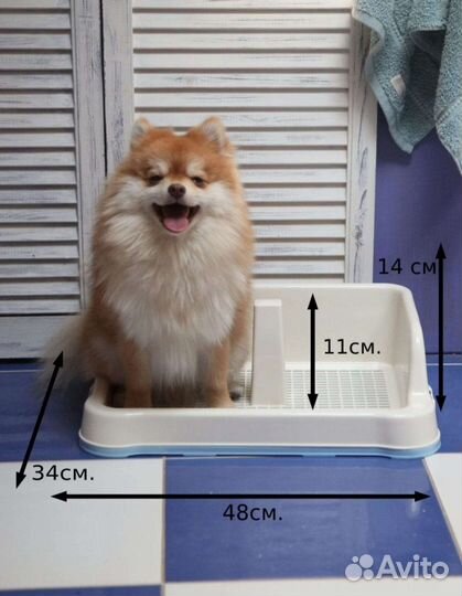 Лоток для собак