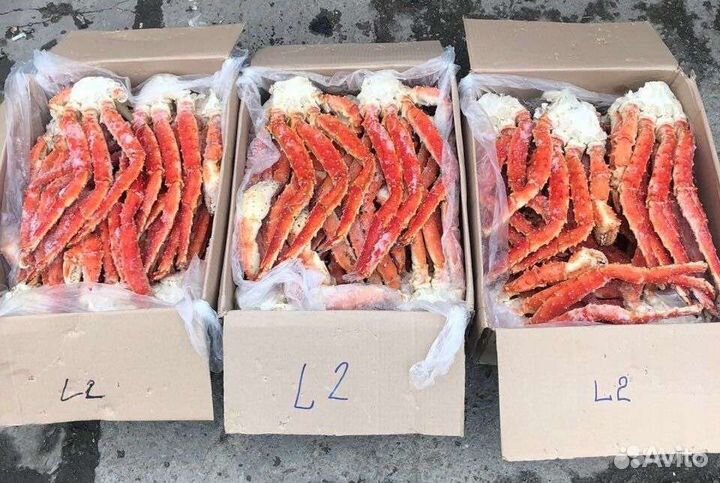 Краб Камчатский королевский