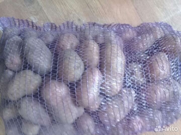 Продам Картофель