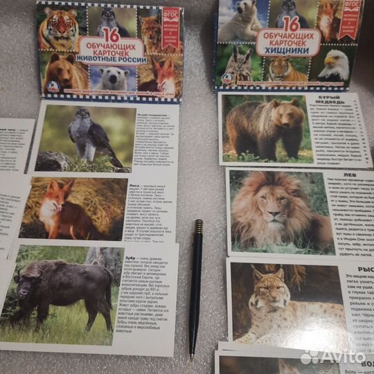 Обучающие карточки 3 комплекта по 16 штук