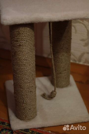 Когтеточка