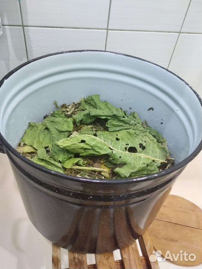 Корюшка лосось щука судак черн груздь