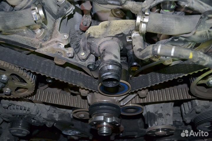 Комплект ремень грм dayco LR discovery 3