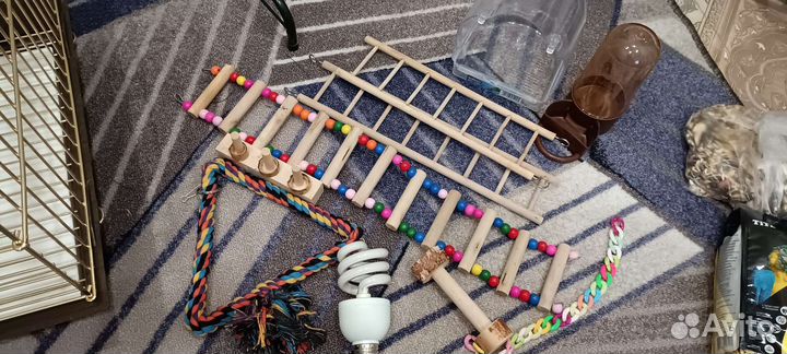 Всё для попугая