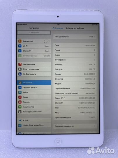 iPad mini a1455