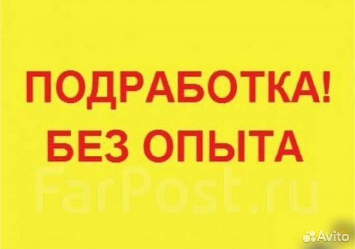 Мерчендайзер ежедневная оплата