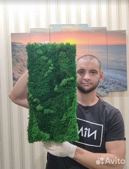 Эко панели из яркого мха 25х50см вечно живые