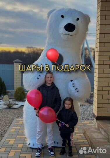 Белый мишка поздравление/Аниматоры/Ростовые куклы