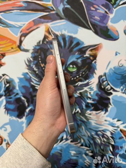 iPhone 16 Pro Max, 256 ГБ