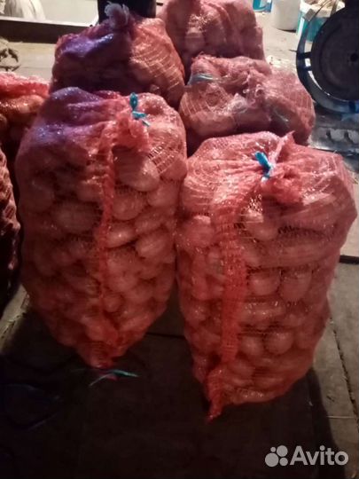 Свежий деревенский картофель