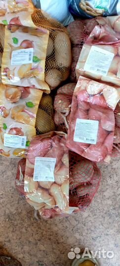 Продаётся Элитные семена Голландского картофеля
