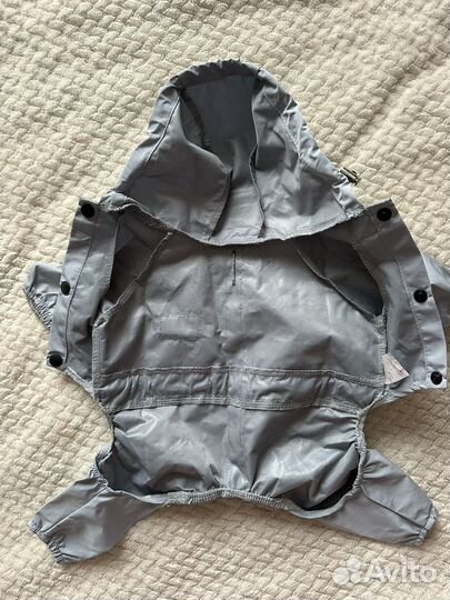 Одежда для собак мелких пород