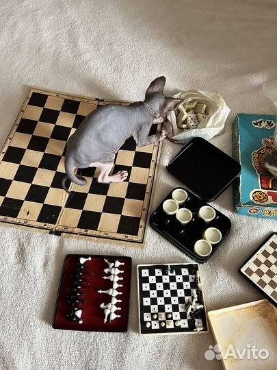 Шашки СССР домино шахматы