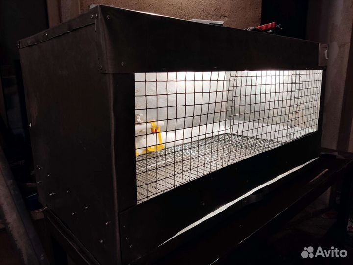 Брудер, клетка для цыплят, перепелов