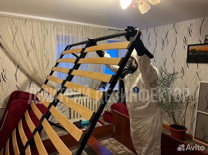 Дезинфекция, уничтожение тараканов, клопов, клещей