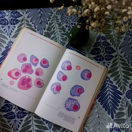 Гематологический атлас 1985 года