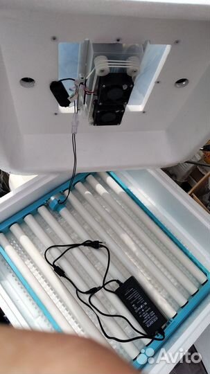 Инкубатор полный автомат