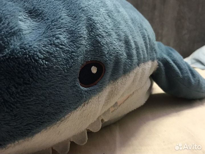 Акула из икеи по имени Йорик