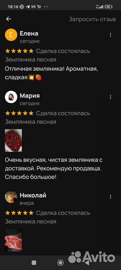 Садовая клубника