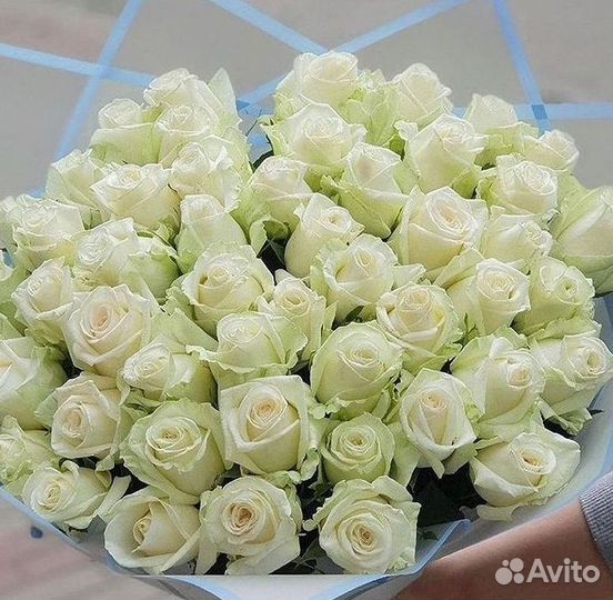 Высокие Розы с Доставкой