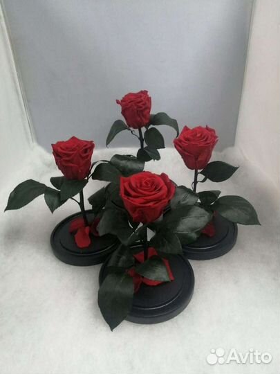 Роза в колбе опт и розница