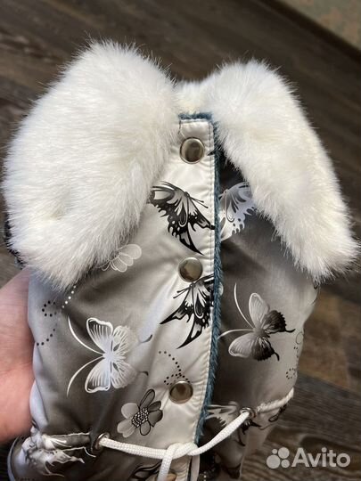 Зимний комбинезон для маленькой собачки