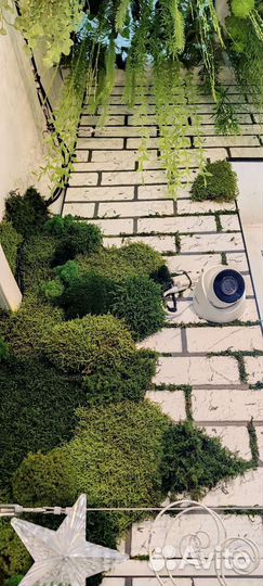 Видеонаблюдение