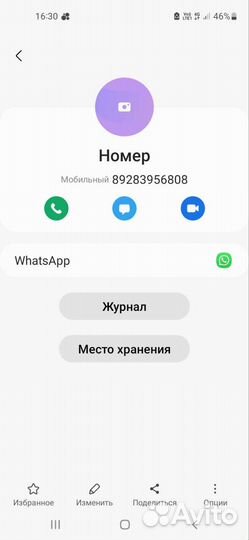 Телка и бык абердин ангус