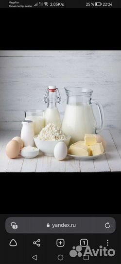 Молочные продукты