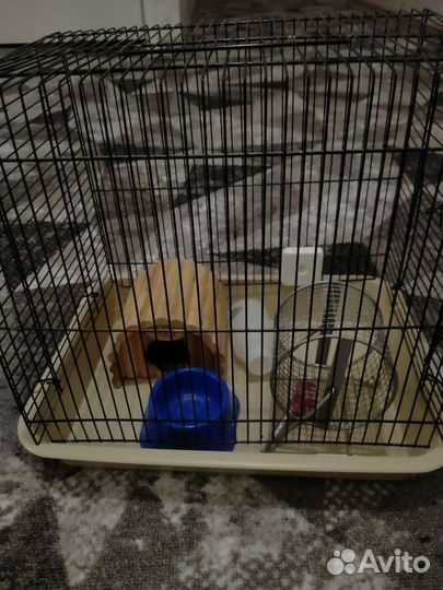 Клетка для хомяка