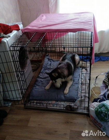 Клетка для животных