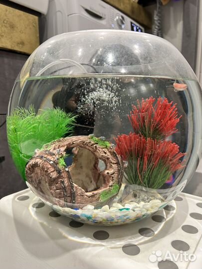 Продам аквариум С рыбами фильтром И растениями