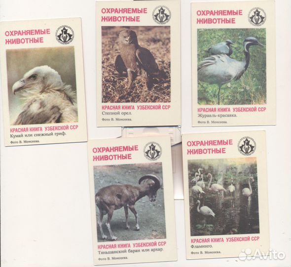 Календарики 