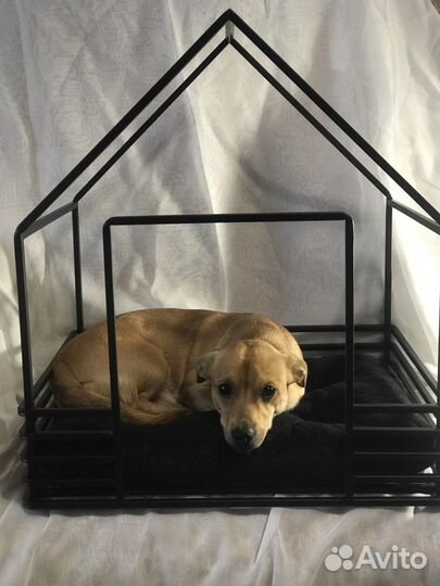 Лежак для животных