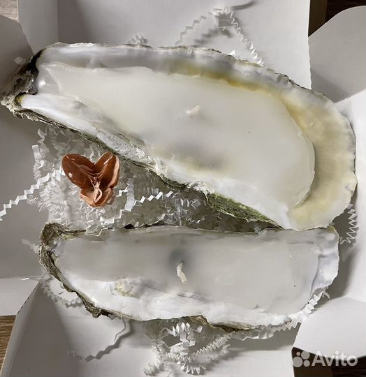 Свеча в ракушке устрицы