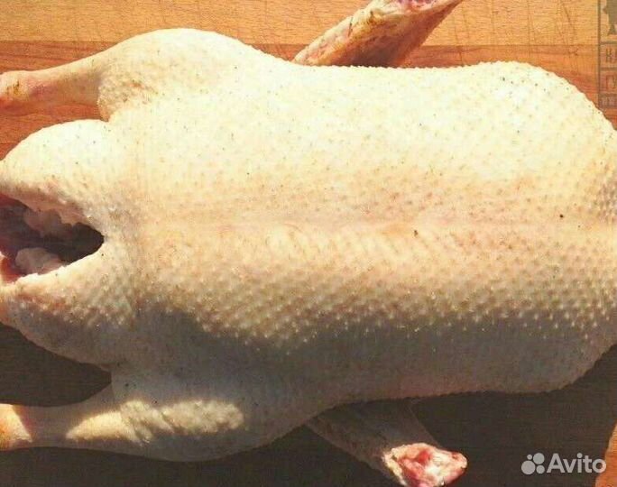 Мясо индейки, гуся, бройлера