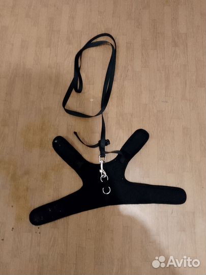 Отдам кота в добрые руки бесплатно