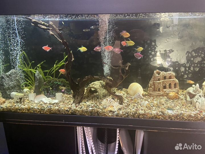 Аквариум 200 литров с тумбой