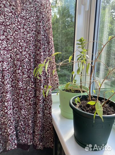 Massimo dutti платье новое M