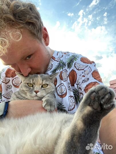 Скребок для удаления шерсти и катышек