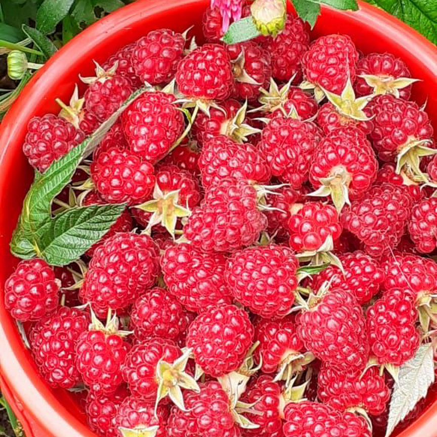 Квартира 3-комн. 54.3 м² в с. Парабель — фото 10 из 19