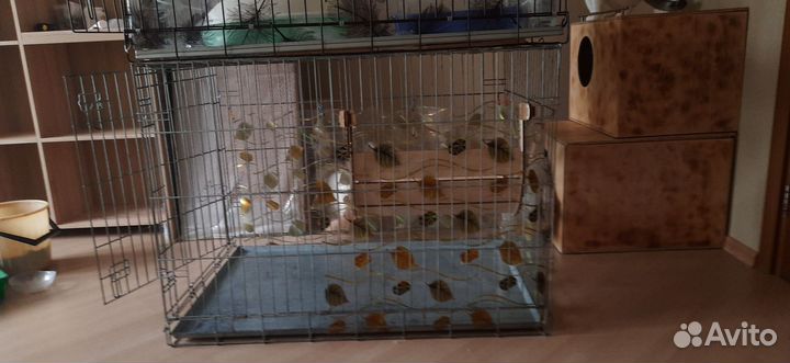 Клетка для животных бу