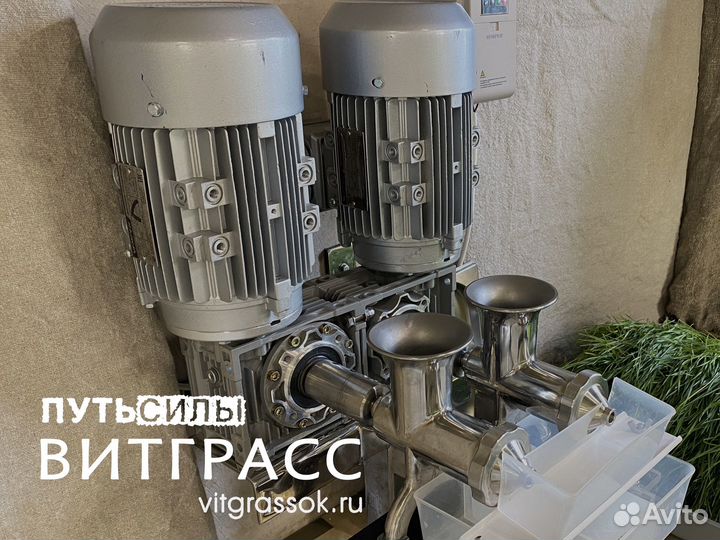 Витграсс - сок из ростков Пшеницы