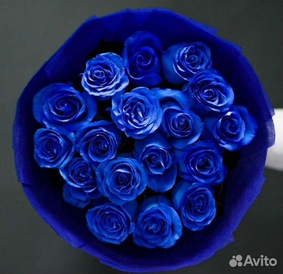 Синие розы Букеты доставка цветов