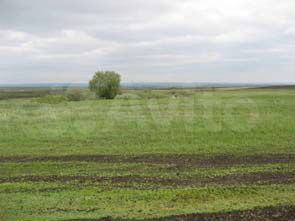 Участок 77,6 сот. (ИЖС)