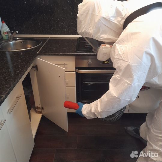 Дезинфекция в Туапсе: тараканы, клопы, мыши