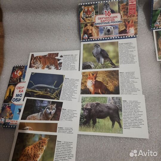 Обучающие карточки 3 комплекта по 16 штук