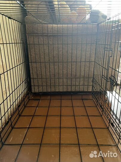 Клетка для собак Midwest Contour 836DD 91х58х64