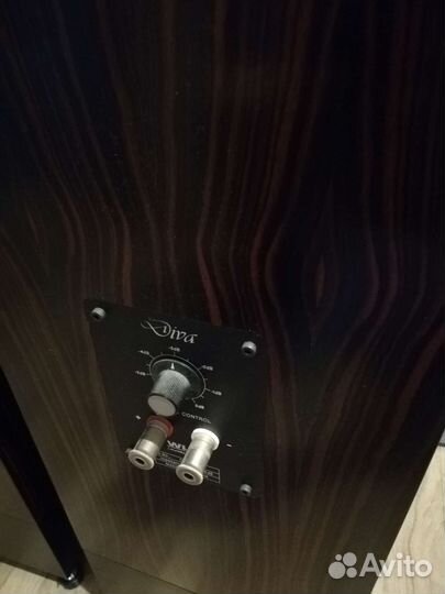 WLM Diva. Hi-End акустика