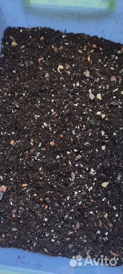 Универсальный грунт